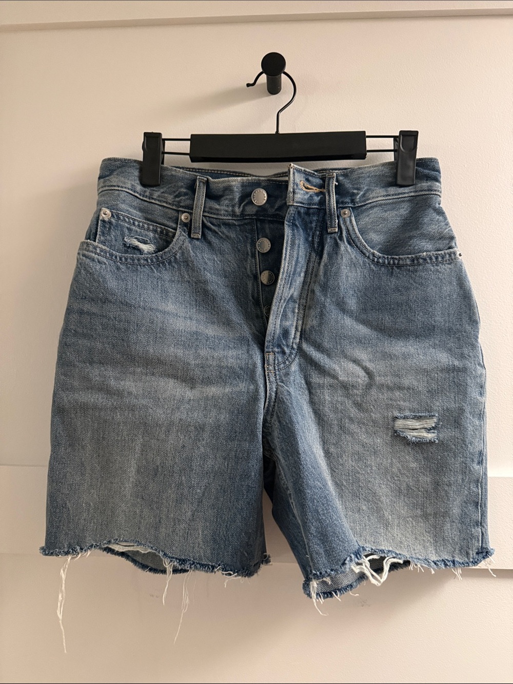 Everlane Rigid Way High Denim Shorts S25